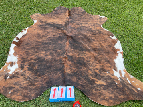 a111. Brown White Brindle White belly  Cowhide