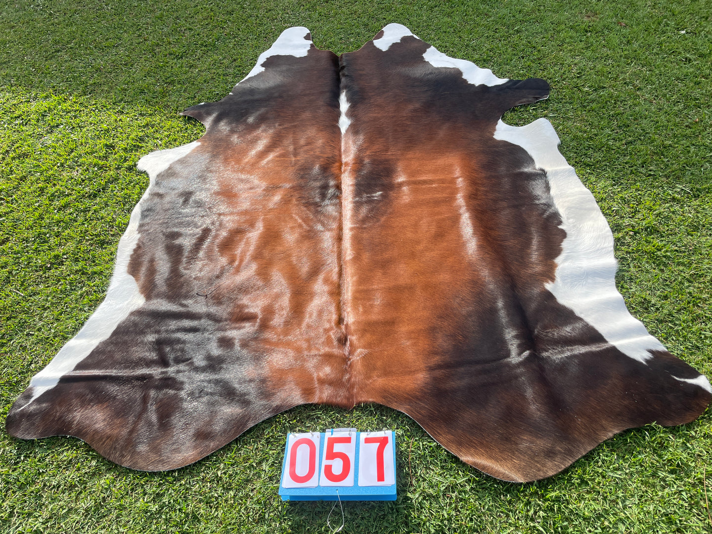 57. Black White Reddish Cowhide