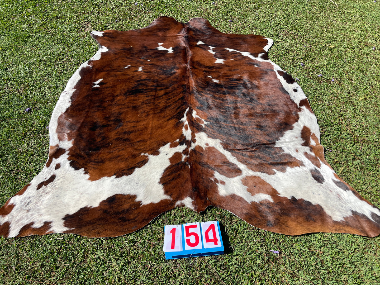 a154.Tri ColourCowhide