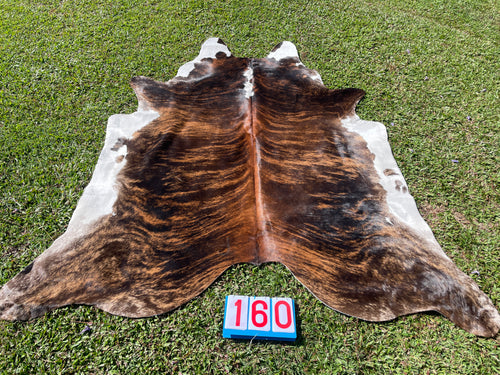 a160. Hereford White Belly Cowhide
