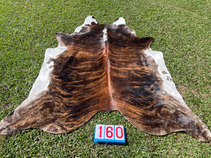 a160. Hereford White Belly Cowhide