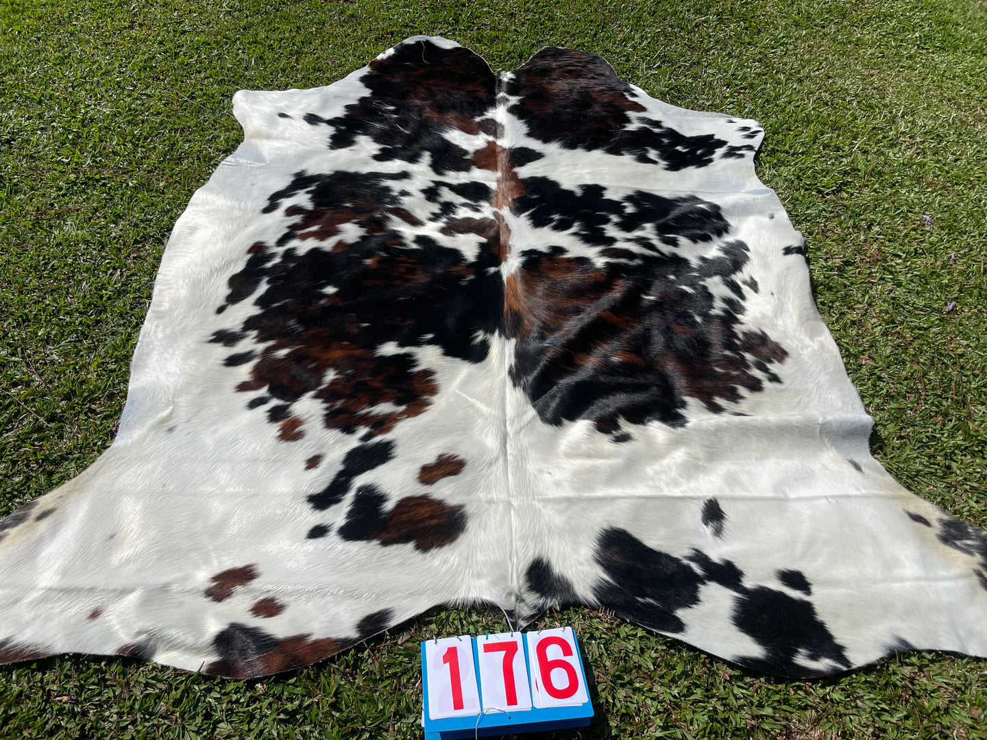 a176. Brindle Cowhide