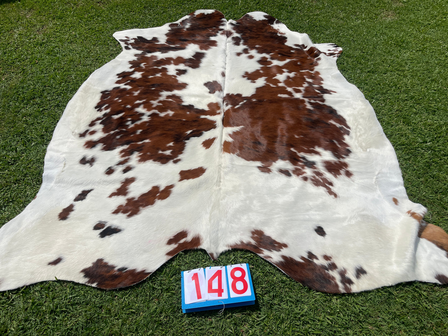 a148. Black White Red Cowhide