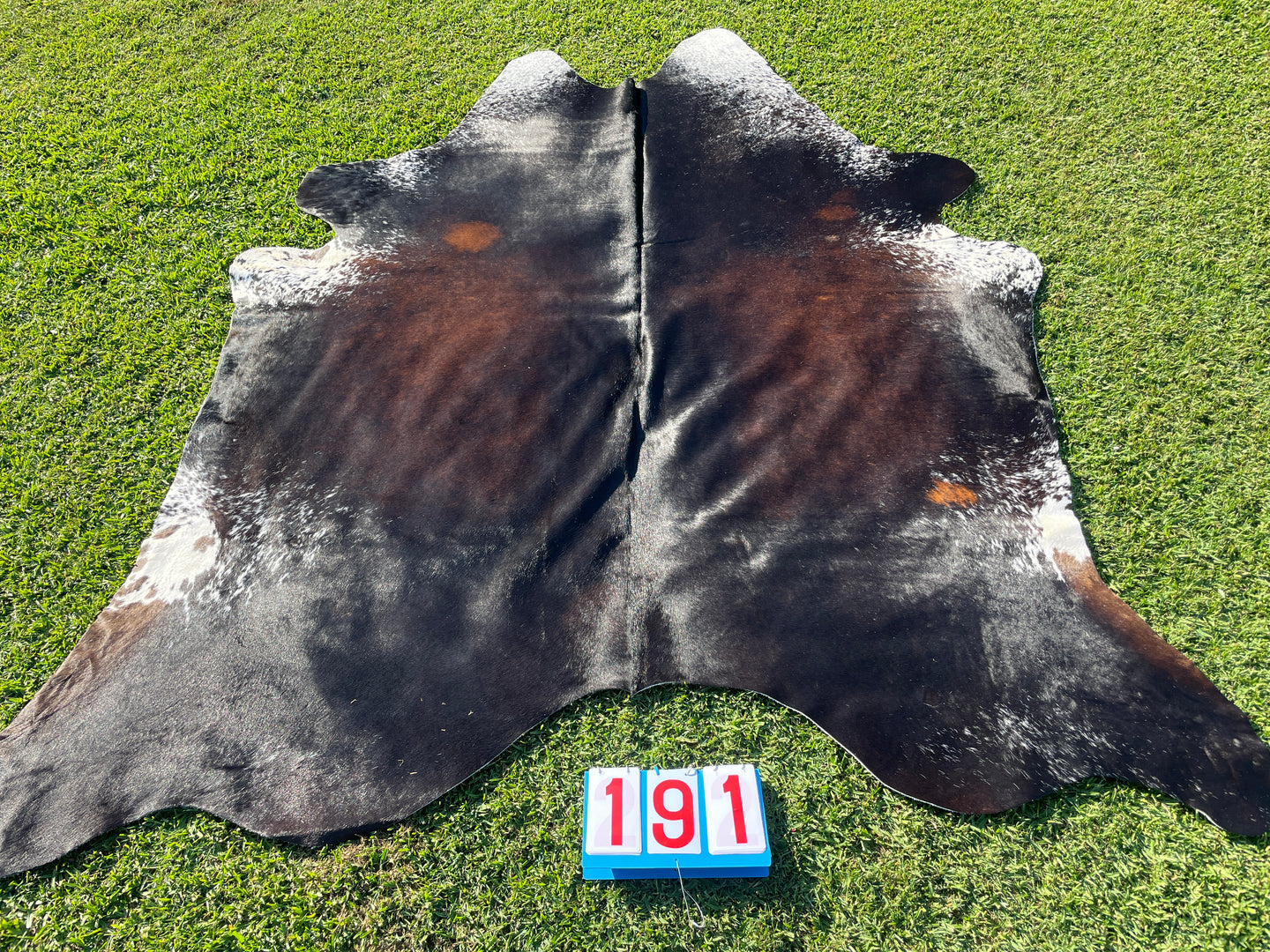 a191. Black Reddish and White Cowhide