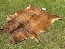 Load image into Gallery viewer, 53. Brown and White Cowhide